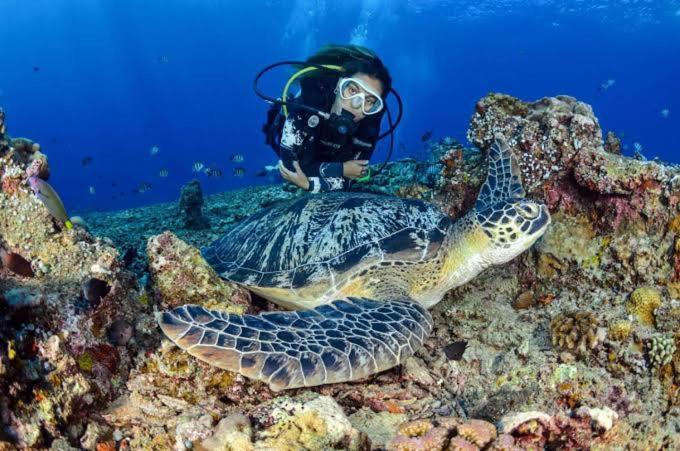 Apo Diver Beach Resort Сан-Хуан Екстер'єр фото