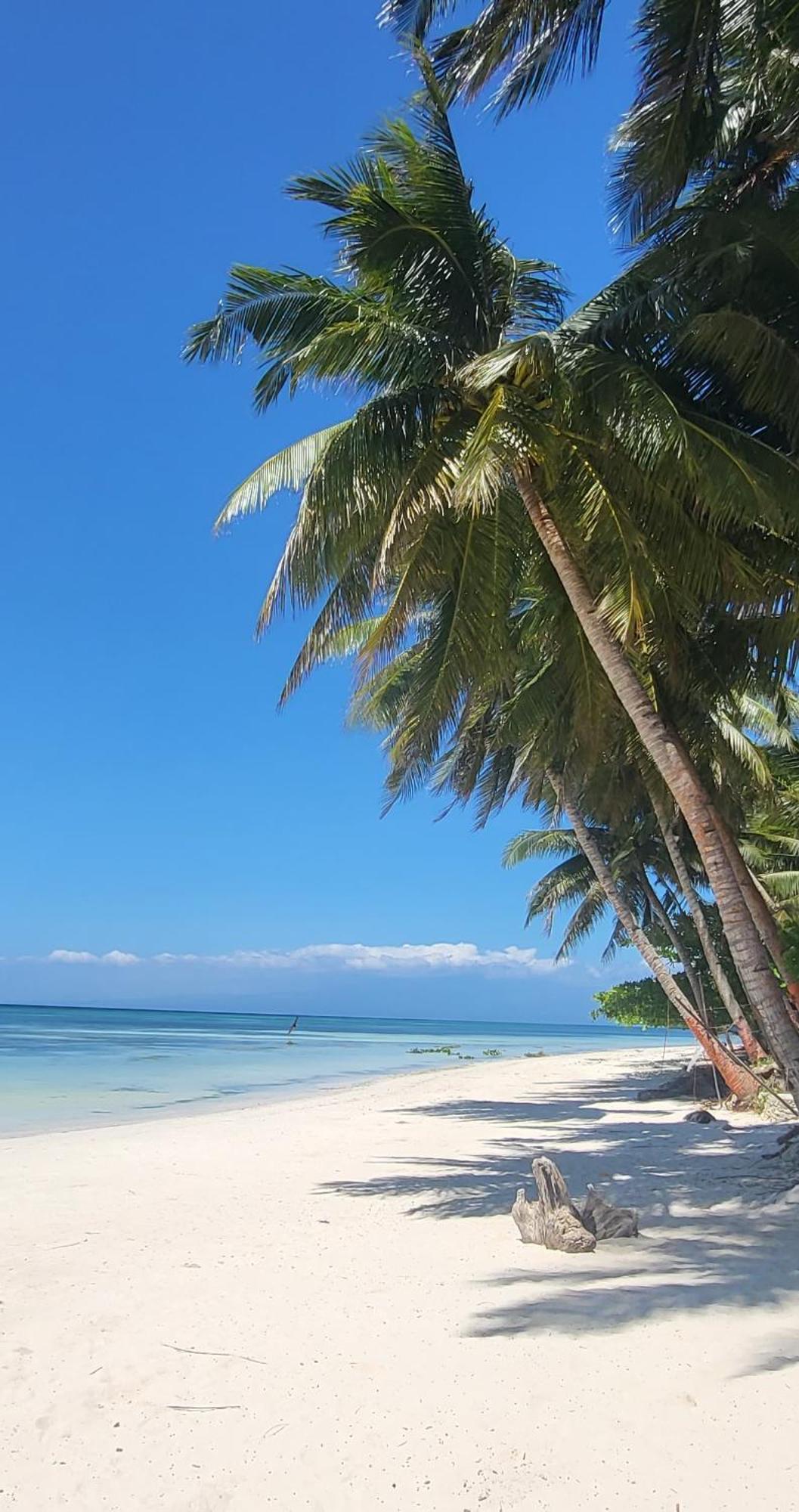 Apo Diver Beach Resort Сан-Хуан Екстер'єр фото
